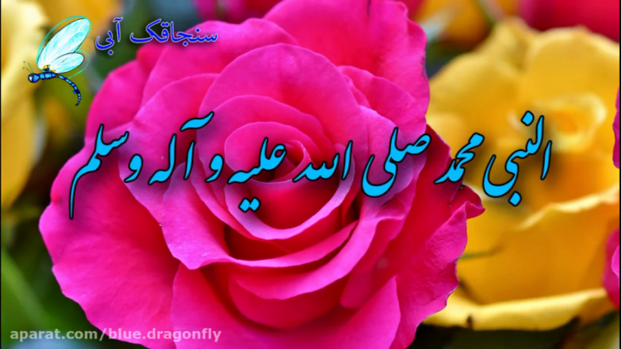 کلیپ تبریک ولادت رسول اکرم نقا...