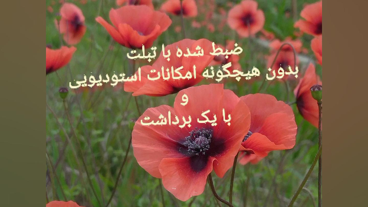 دموی باز خوانی آهنگ به یاد سوس...