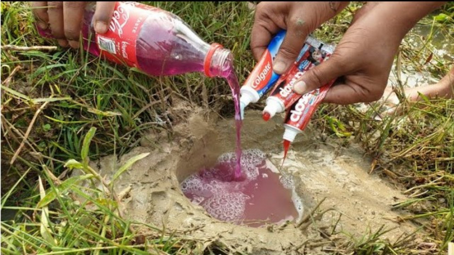 واکنش حیرت انگیز ماهی ها خمیر...