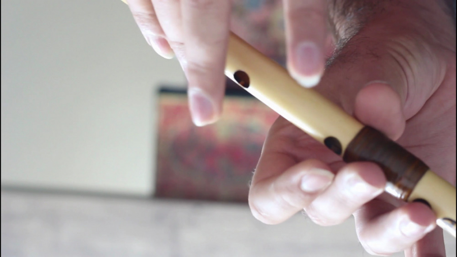 ضیافت بیست و یکم دستگاه نوا