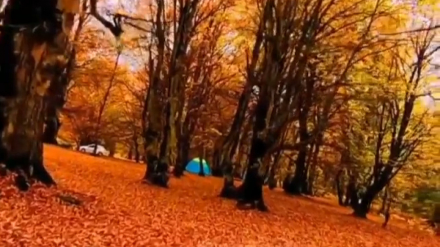 آهنگ زیبا دلنشین آرامش بخش