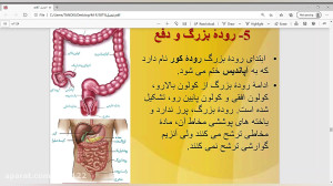 روده بزرگ وعمل دفع