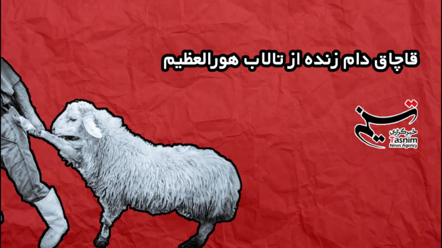 قاچاق دام زنده از تالاب هورالع...