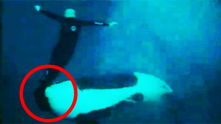 15 چیز کاملاً وحشتناک و جذاب ک...