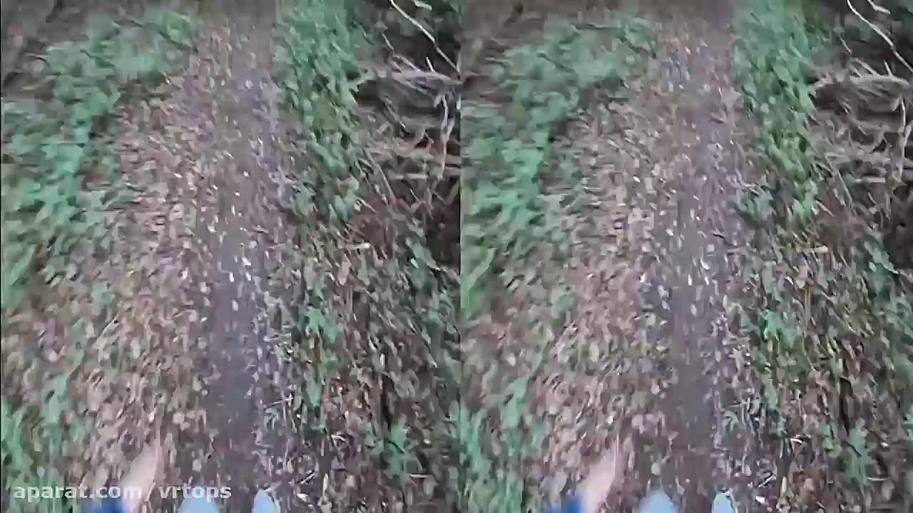 فیلم سه بعدی واقعیت مجازی پارک...