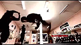 تکاوران پلیس ایران