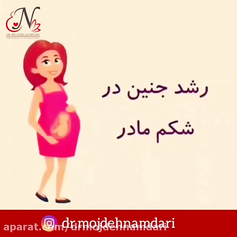 گالری فیلم | دکتر مژده نامداری