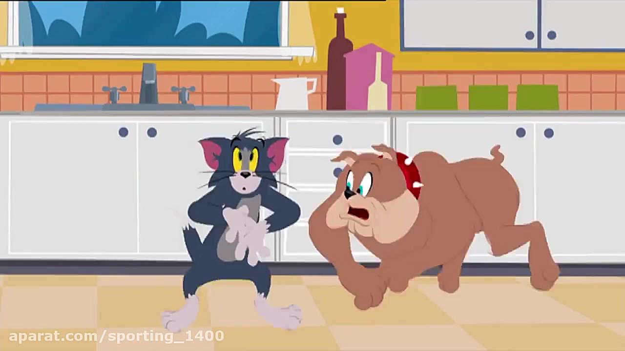 کارتون تام و جری ( موش و گربه...