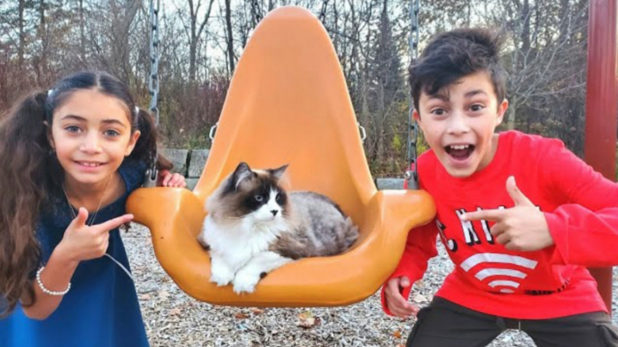 هایدی و زیدان : گم شدن گربه ها...