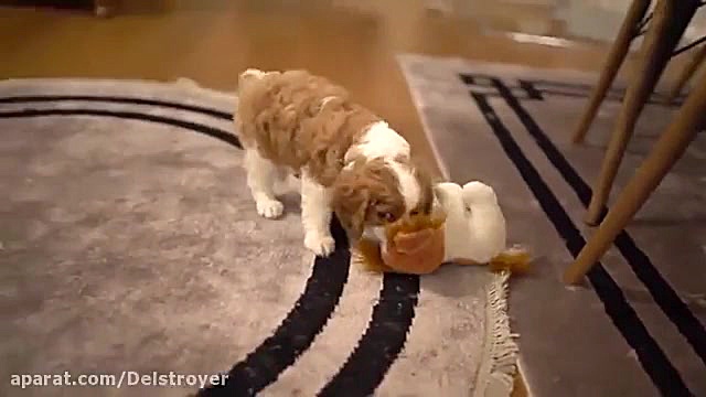 اولین حمام موکا  آریا کئوکسر...