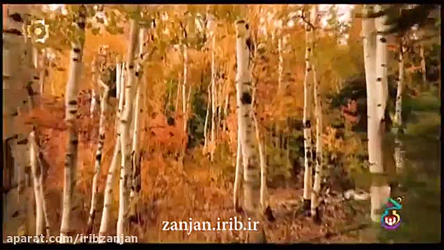 تکنیک های جالب کتابخوانی