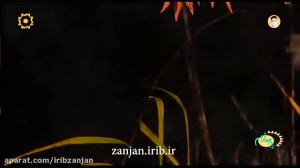 ترانه از کوی تو بیرون نشود پای...