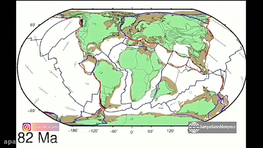 سیصد میلیون سال تحولات در پوست...