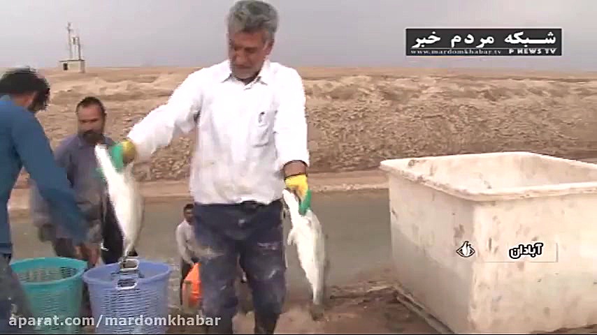 پرورش ماهی ارزشمند و غنی &quot...