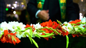 گلباران ضریح مطهر رضوی
