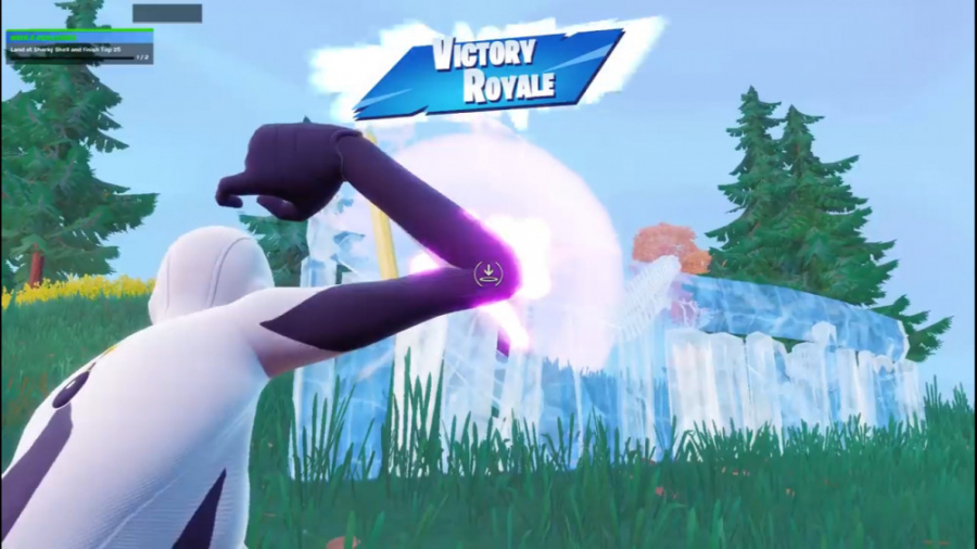 فورتنایت ویکتوری رویال با 46تا...