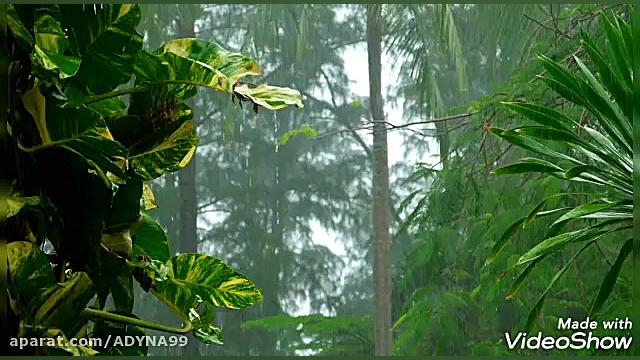 کلیپ مادر. دکلمه زیبای مادر کل...