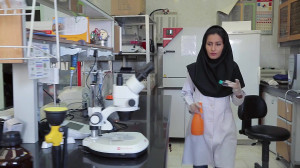 طرح تحول راهبردی دانشگاه تربیت...
