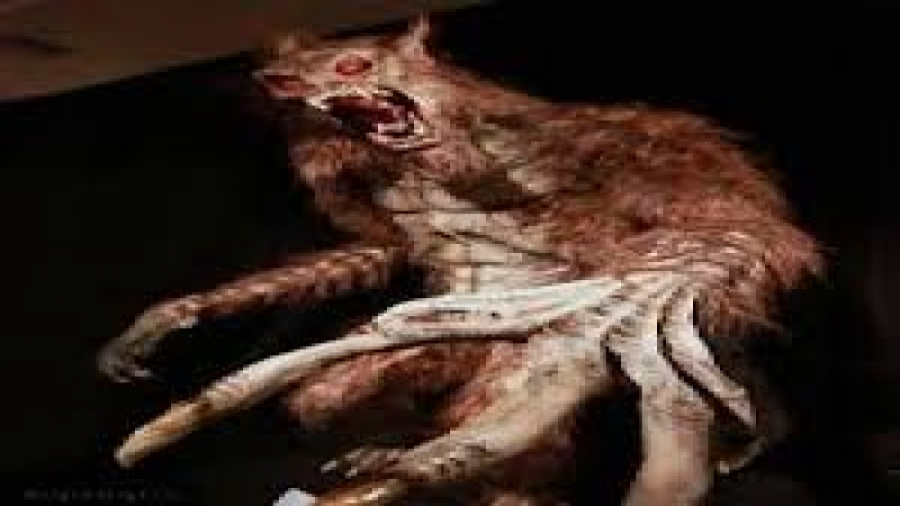 راز ترسناک جی تی ای وی...gtav....