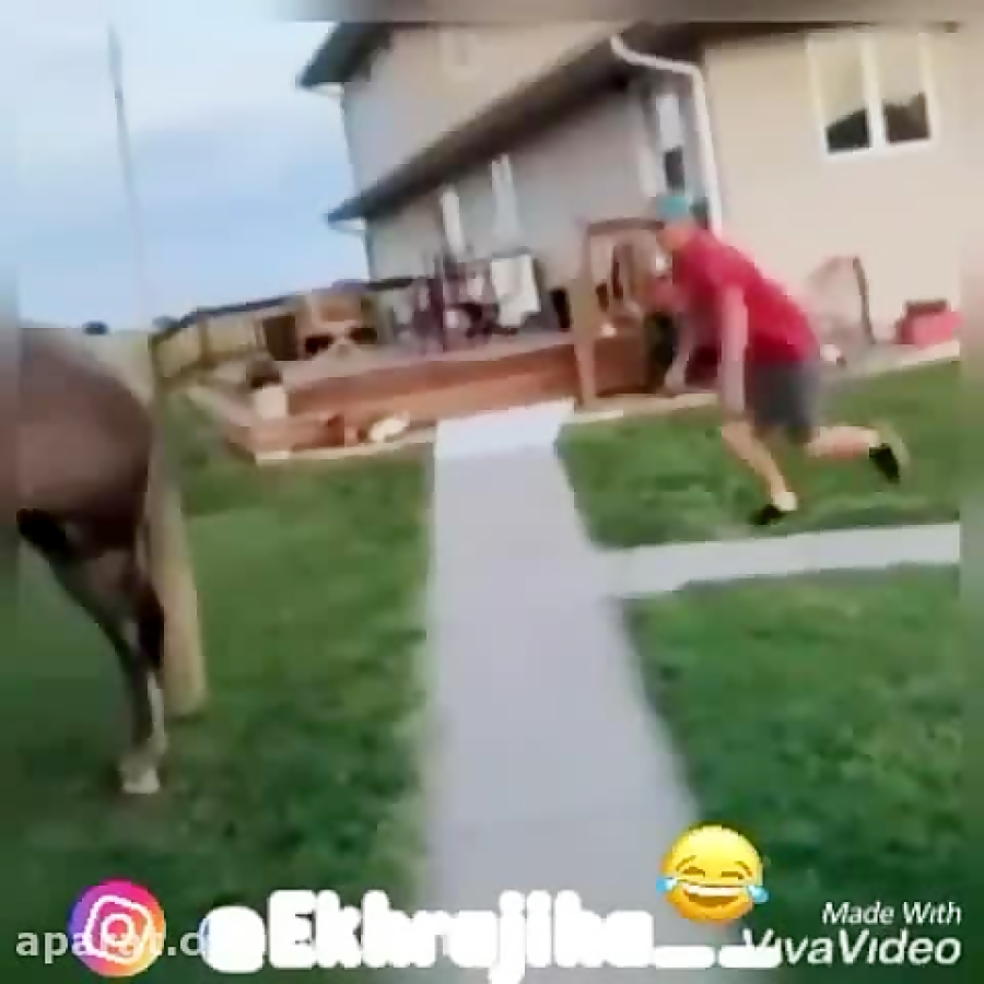 کلیپ خنده دار