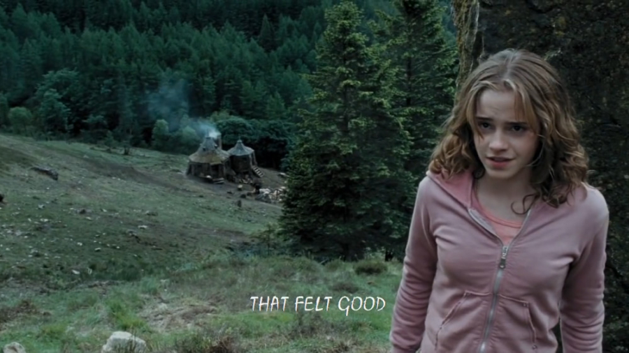 اجرای آهنگ با شخصیتهای هری پات...