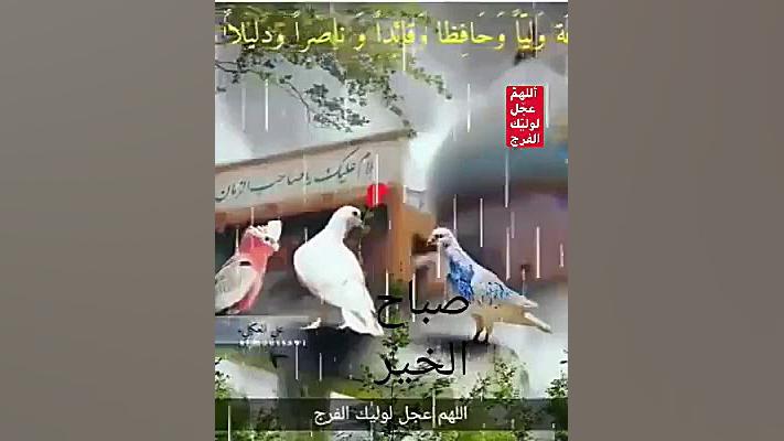 سلام صبحگاهی| قرائت زیبای دعای...