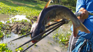 بهترین شکار ماهی. ماهیگیری با...