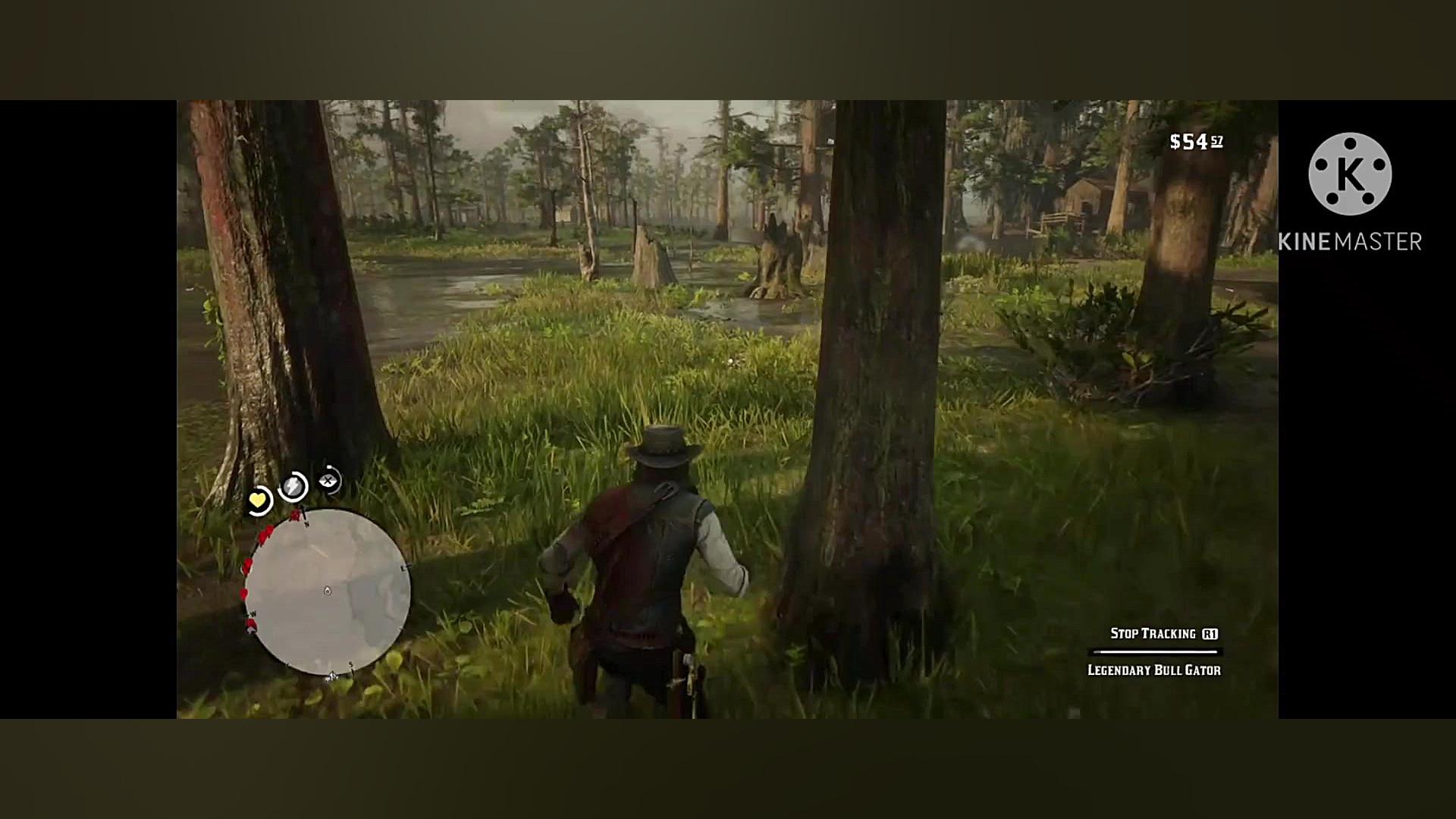 مکان تمساح لجندری سفید بزرگ در...