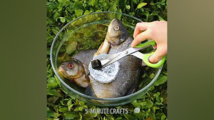 ترفندها و ایده های تفریحی جالب...