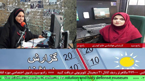 ارتباط تلفنی با "خانم گود...