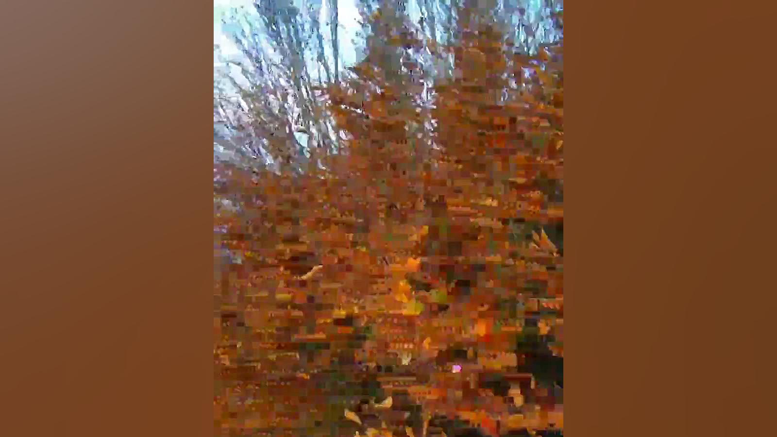 طبیعت زیبا دیلمان