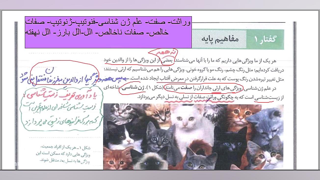 زیست دوازدهم فصل 3 انواع رابطه...