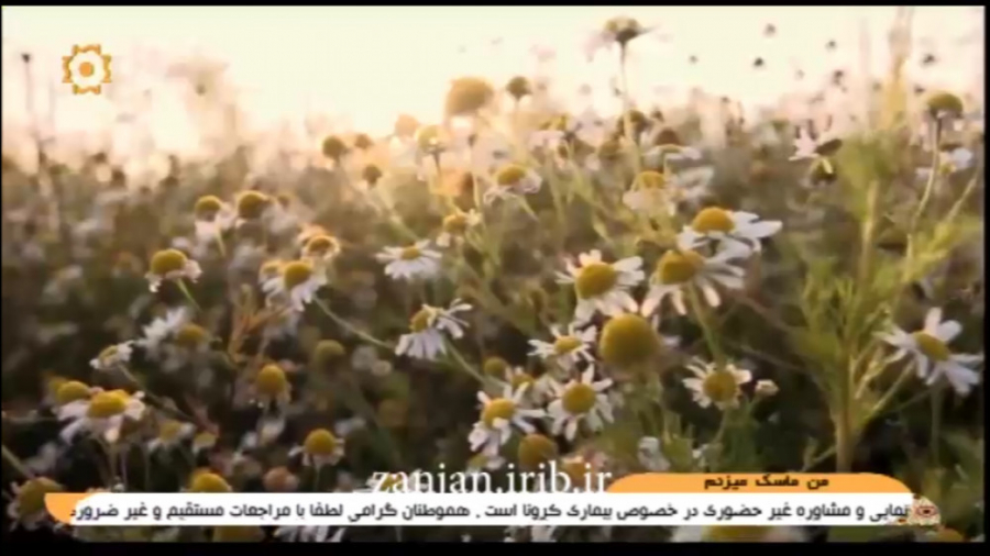 ترانه شاد آذری یاشا یاشا گوزل...