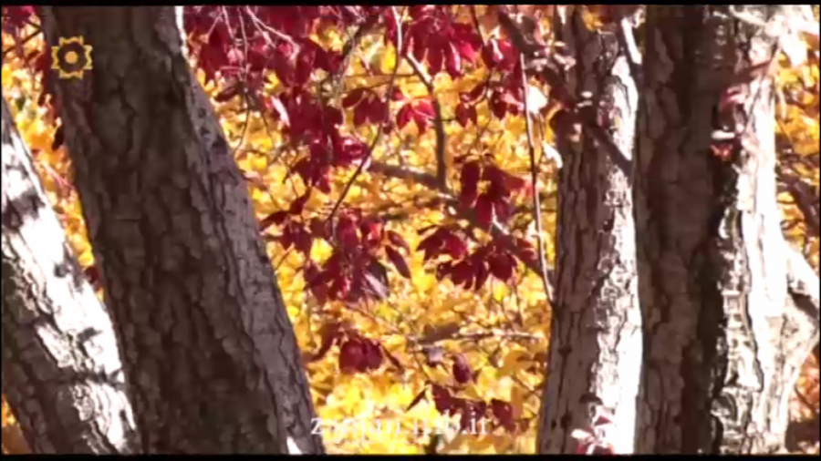 ترانه ترکی لیلانا