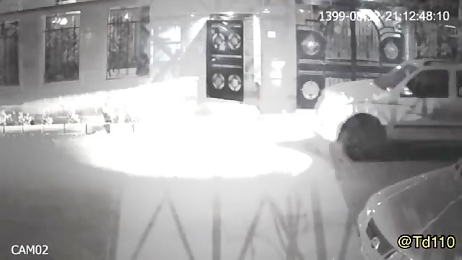 نجات دختر توسط سگ از خفت گیری