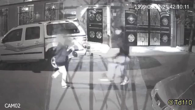 نجات دختر توسط سگ از خفت گیری