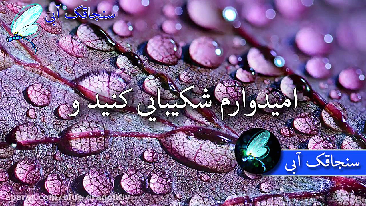 کلیپ تسلیت همدردی تسلا عزادار...