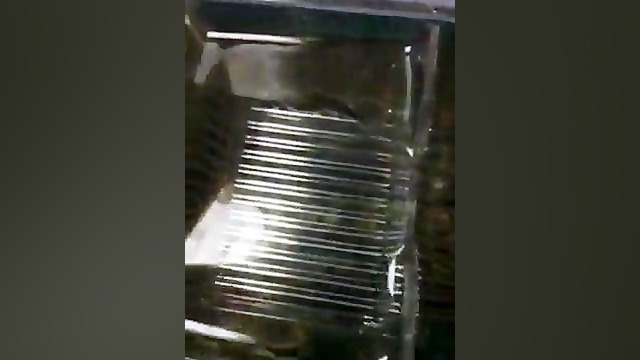 این حامله هست؟