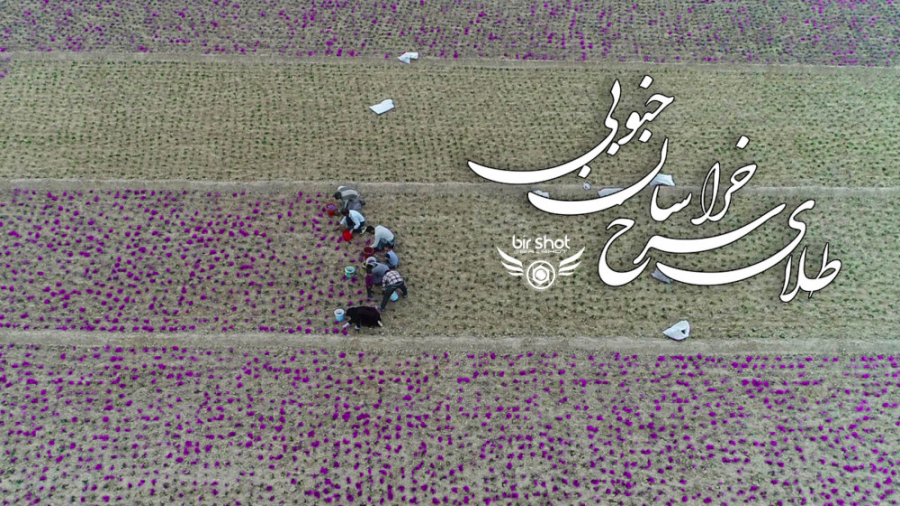 طلای سرخ خراسان جنوبی