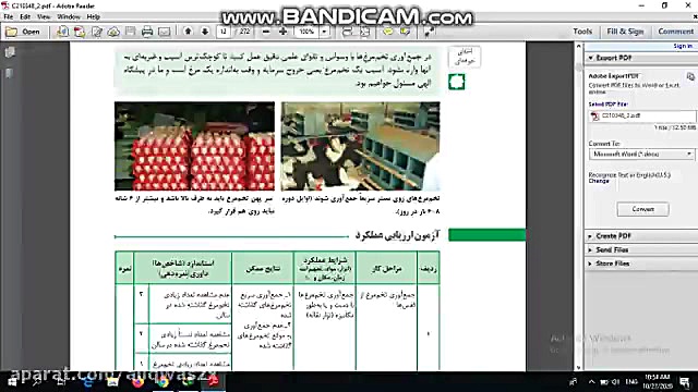 تولید و پرورش مرغ