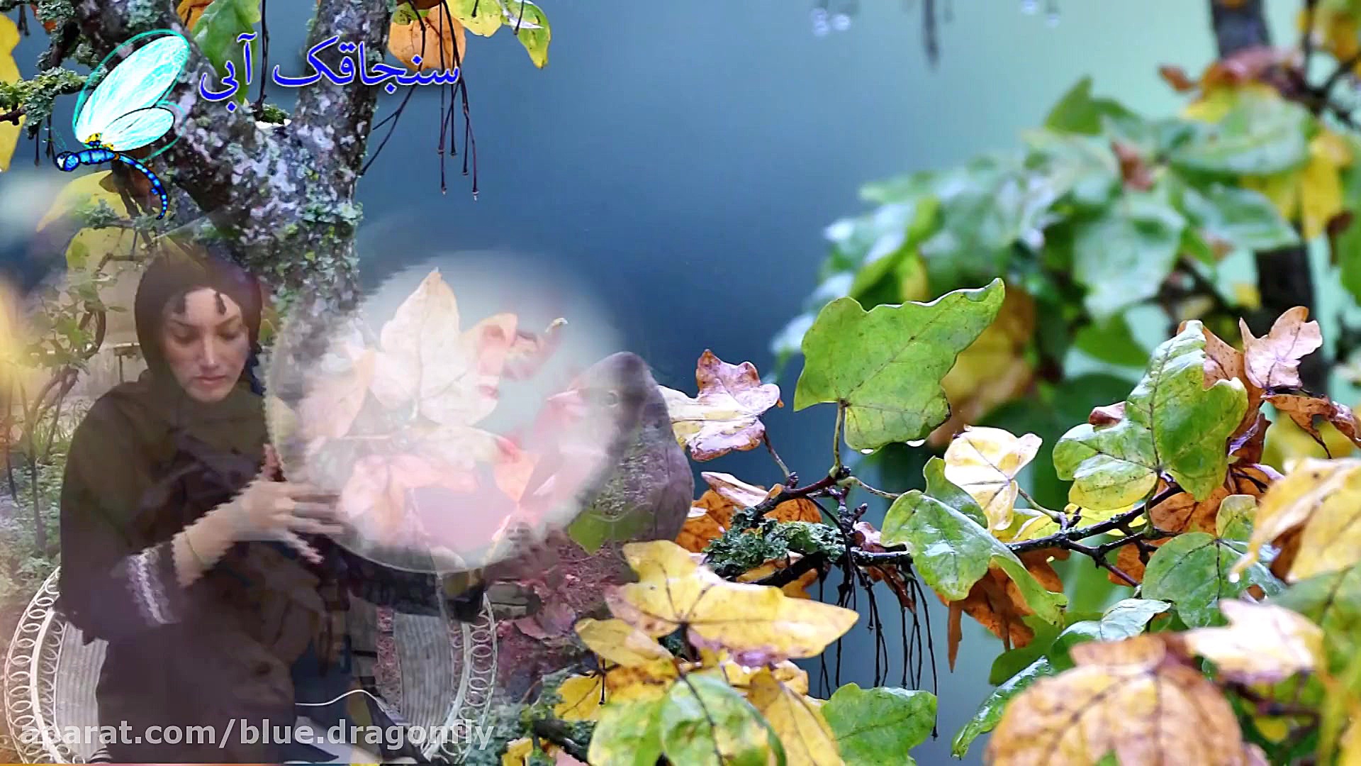 دف نوازی آهنگ مرو ای دوست  آهن...