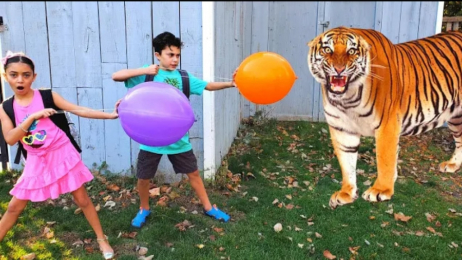 ماجراجویی هایدی و زیدان در مقا...