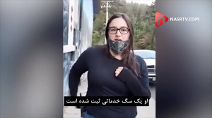 رای سگی