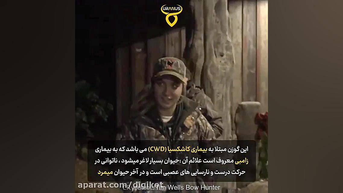 شکار گوزن مبتلا به زامبی