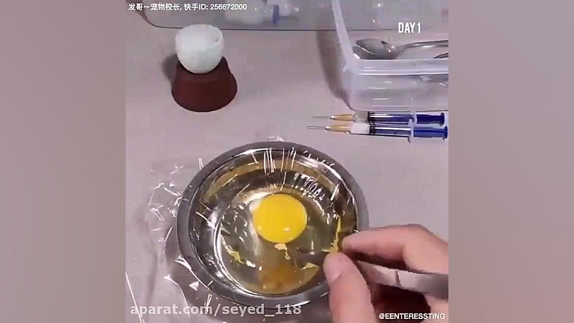 خیلی عجیبه! مگه میشه؟ O:o