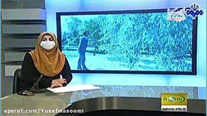 آذرشهرپایتخت تولیدسنجدایران،مه...