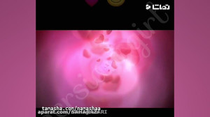 کلیپ عاشقانه برای استوری اینست...