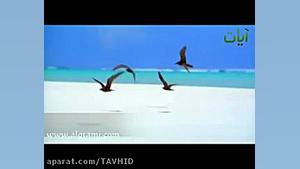 تلاوت قرآن کریم