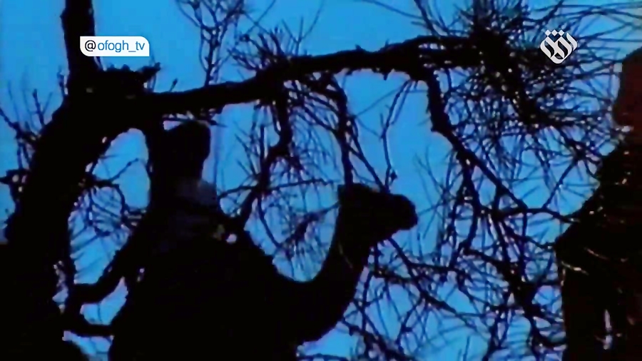 مستند | پسران سعود : چگونگی تش...