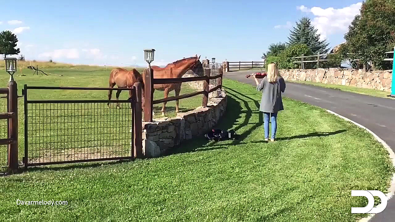 علاقه ی عجیب اسبها به صدای ویو...